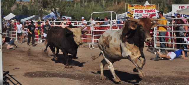 bull runners